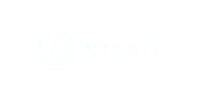 Steam